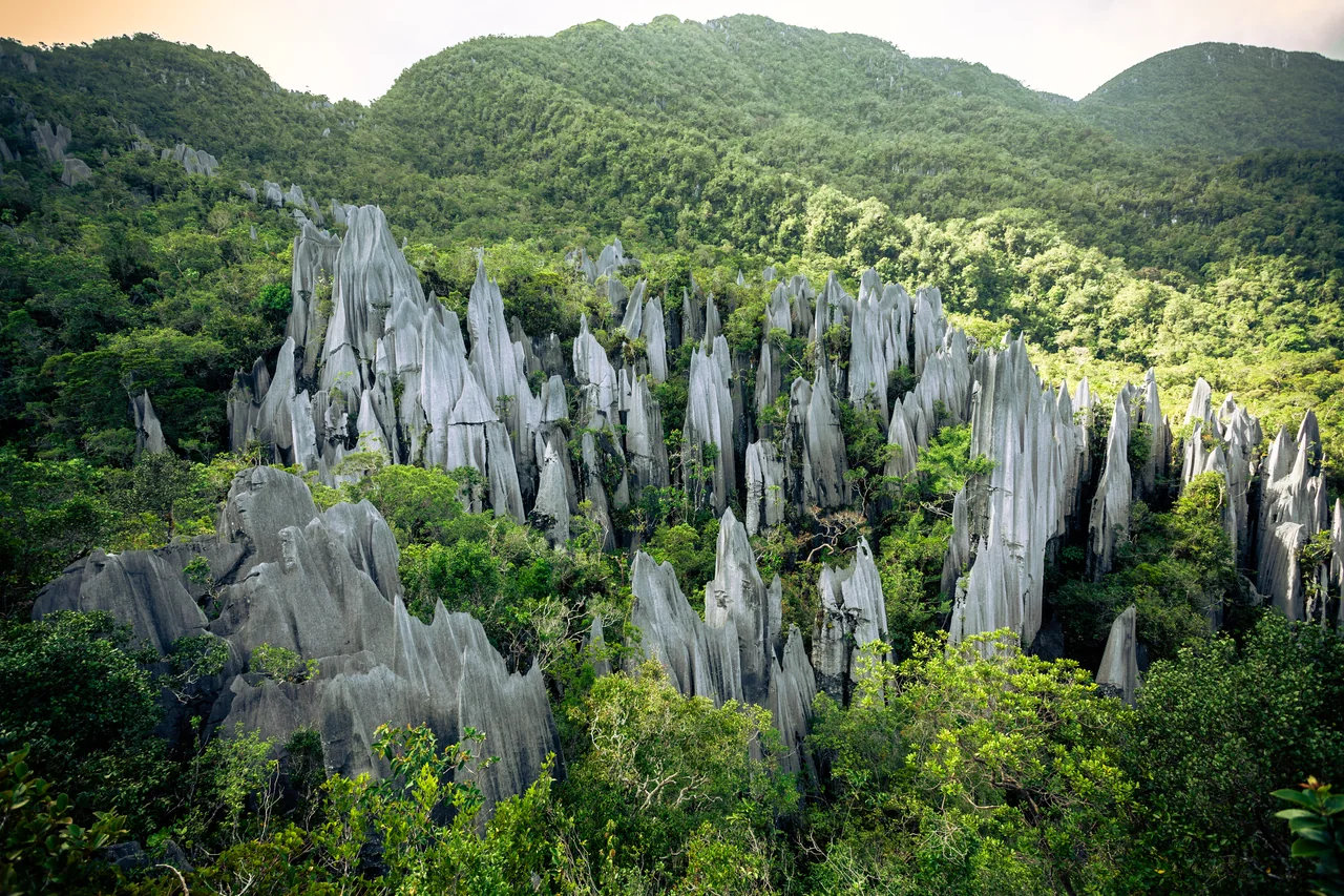 Limestone pinnacles rising above the rainforest in Mulu